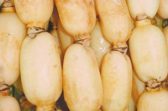 活血祛瘀|子宫肌瘤“最怕”几种食物,天天没事吃点,活血祛瘀,子宫更健康