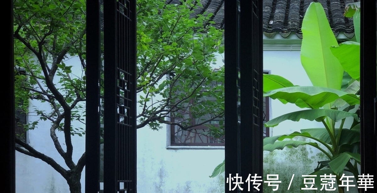 诗句|三首清新的咏芭蕉诗词,韵味悠长,美不胜收