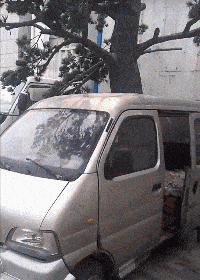 |搞笑GIF:别装了 我知道你就是故意的