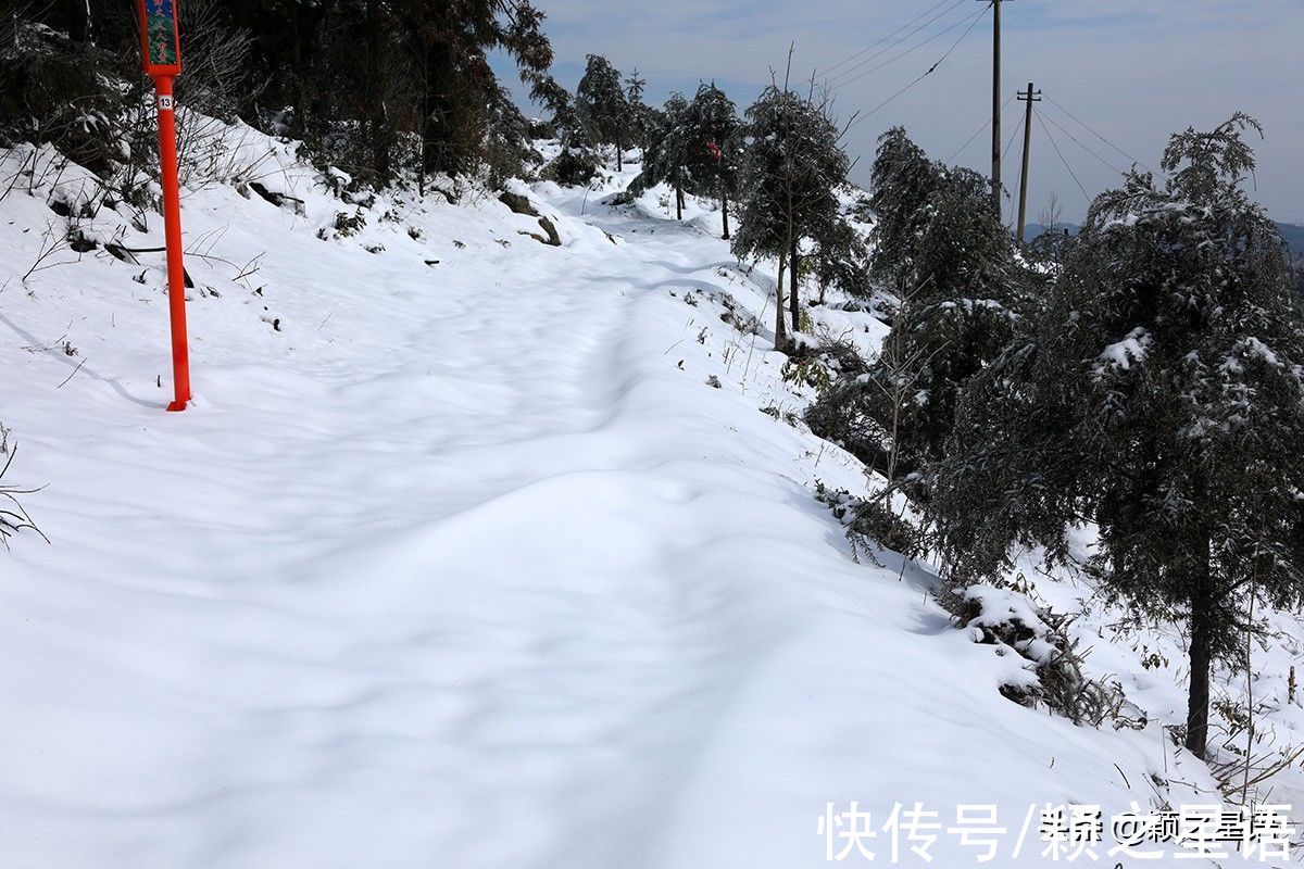 鹿亭乡|宁波赏雪胜地，东岗天池，林海雪原，天然滑雪场