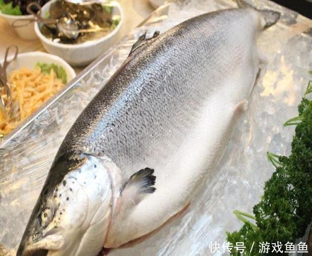 日本人|日本公布长寿秘诀,早睡在最后,常吃2物最重要,很多人却不清楚