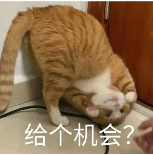 护肤｜那些埋没在营销光芒里的大牌冷门宝藏们！～