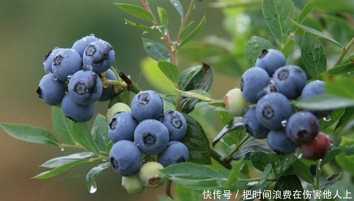 饮食原则|健康的饮食原则是儿童生长发育的基本保障,家长切不可忽视!