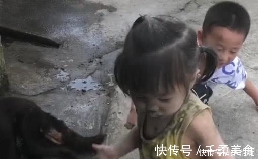 萌娃|萌娃下乡“放飞自我”火了,一旁的狗子:别看我,可不关我事!