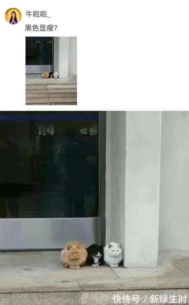 |搞笑图片大合集,哈哈哈哈哈哈哈哈!网友:黑色显瘦竟然是真的?