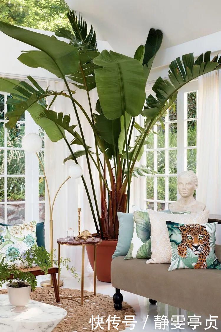 她在屋里种满500盆植物:呆在这样的房子里,生活更有了诗意!