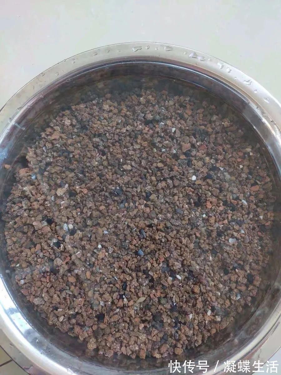 煤渣|换盆时，花盆里垫上这5种小东西，透水又透气，再也不怕烂根啦