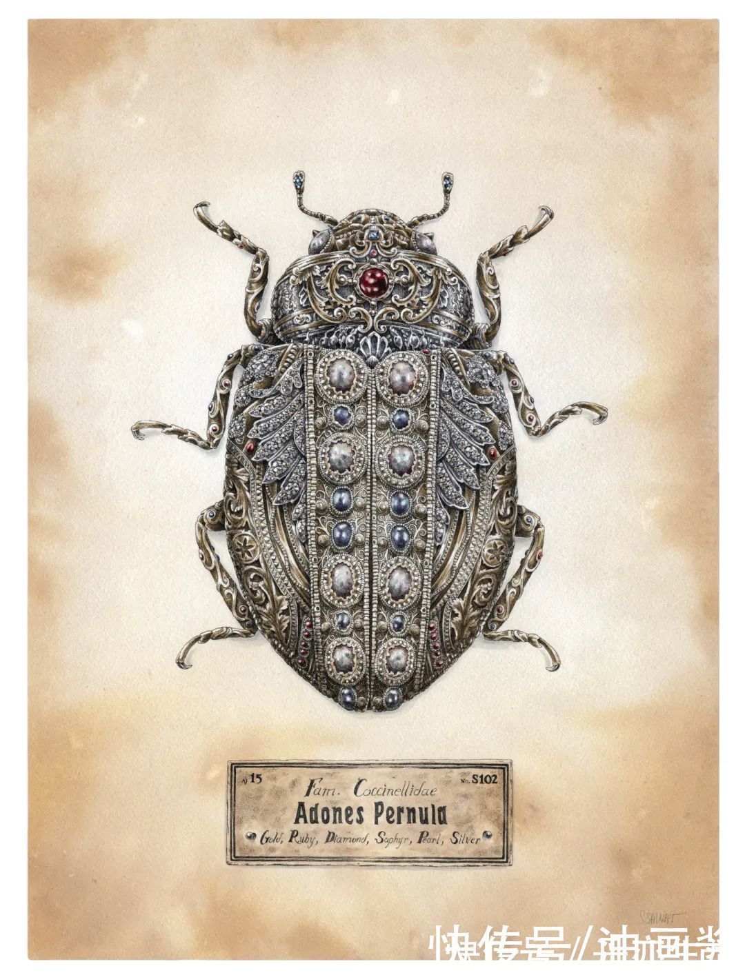 艺术家@90后画家用针管笔绘画,一幅画耗时数百小时,精致极了