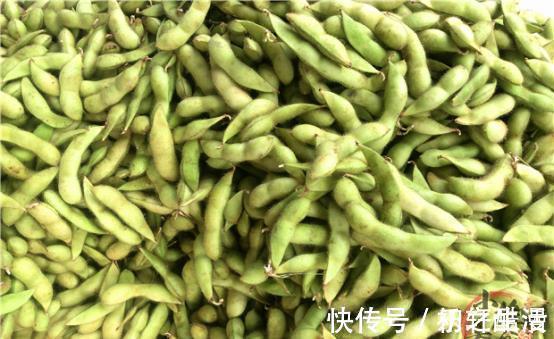 红薯叶|3种有钱不一定能买到的绿色蔬菜，含钙高还不打药，夏季吃正当时