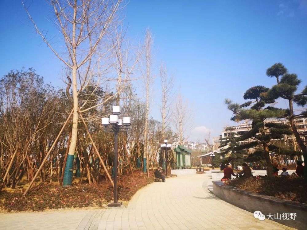 阆中鱼翅广场，惊艳登场！