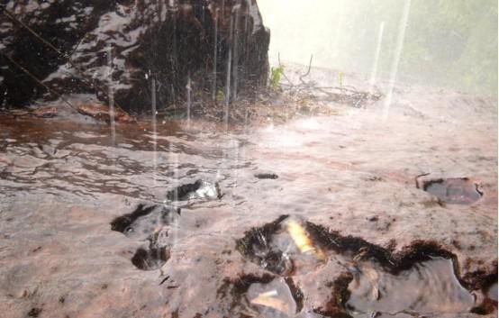 如果地球下起一场持续10000年的雨，人类会毁灭吗？