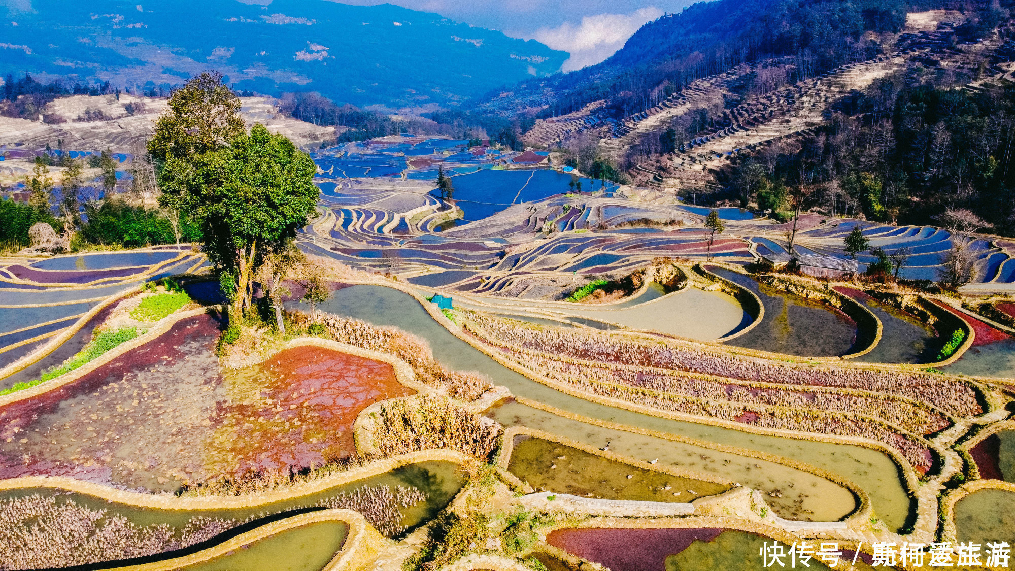 红河哈尼梯田|中国最大梯田，3700阶梯田像直插云海的天梯，游客：第一次见