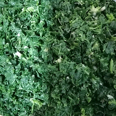 荠菜肉馅饺子馄饨