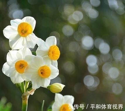 大佬退休之后!推荐一部收藏达到五十万,常年占据销售榜前十的好书《大佬退休之后》!