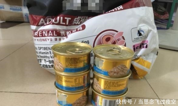 猫主食罐头一天吃多少