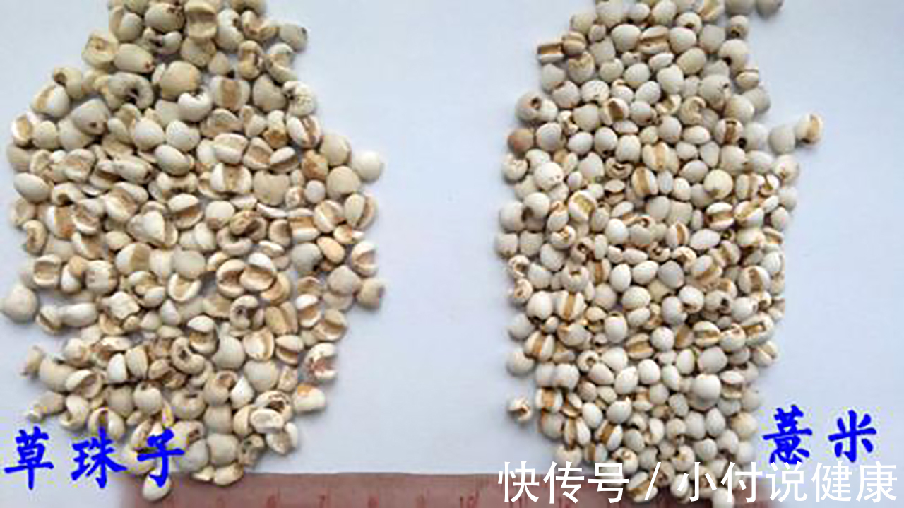 王者|究竟谁才是祛湿的“王者”?