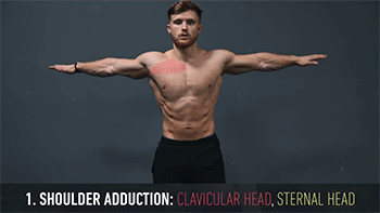 技巧|这样练双杠，胸想不大都难！详细分析动作，让你全面了解训练技巧