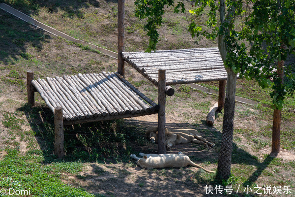 清凉夏日，拥抱星辰大海，西霞口的三天两夜之旅