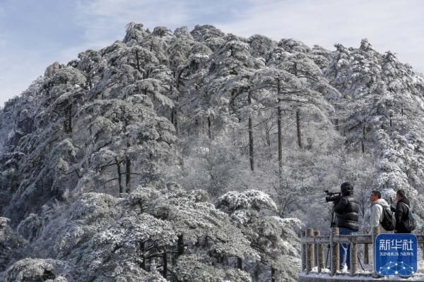 黄山风景区|雪后黄山美图来了！银装素裹，宛如仙境