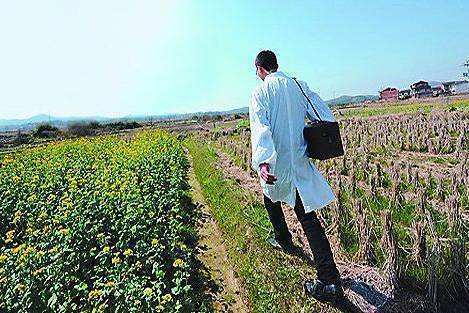 中医|10年灰指甲,用一味中药“泡好”了!中医魅力就在于此