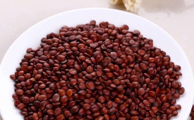 安眠方|医圣张仲景“天然安眠方”被发现了,一杯温水冲泡,快速入睡到大天亮!