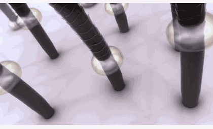 头皮|为什么理发店使用的洗发水,超市基本没有卖?说出来你可能不信