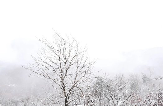  大雪|【鸢都壁纸】今日，大雪！