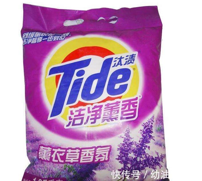 养月季,该死的红蜘蛛又来了,消灭方法全在这里