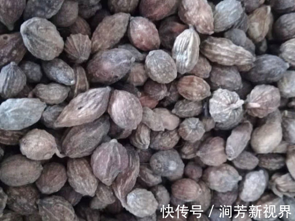 肾强精神棒|这4物泡水喝,牛鞭也比不了,男人每天喝1口,肾强精神棒!