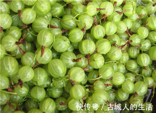 妇科病|女人多吃它滋养卵巢,子宫越来越年轻,暖宫暖胃,远离妇科病