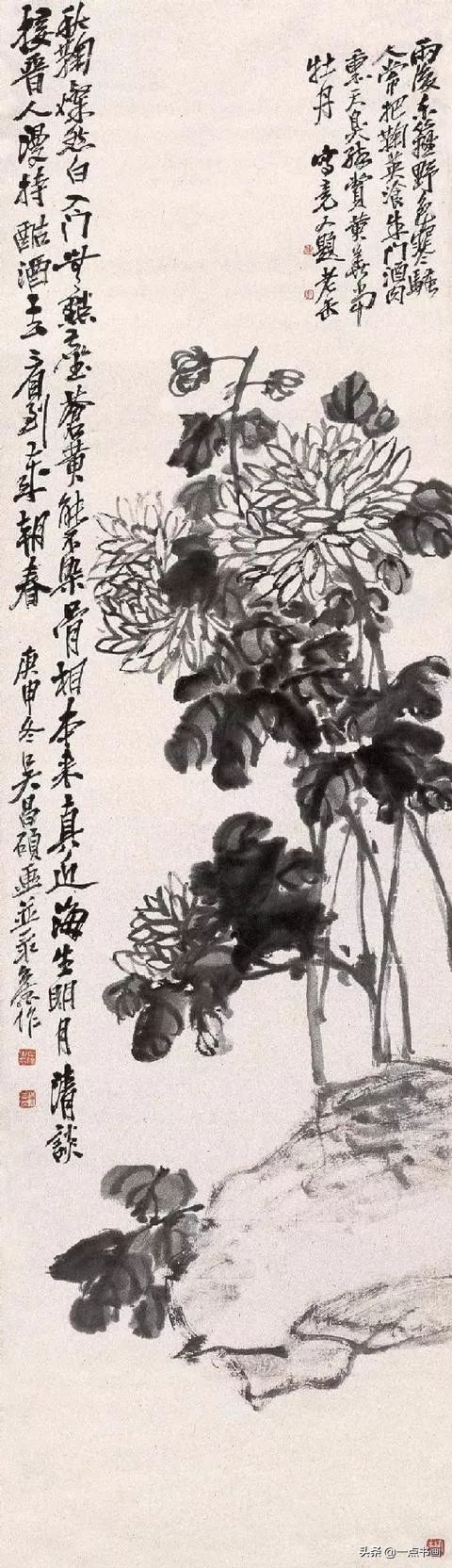 吴昌硕#吴昌硕画菊花，大朴大雅