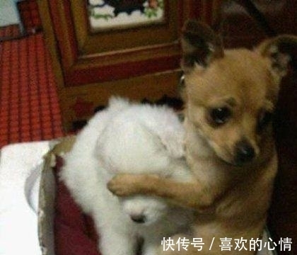 |幽默笑话:上课说话,老师拿粉笔丢我,我居然接住了……