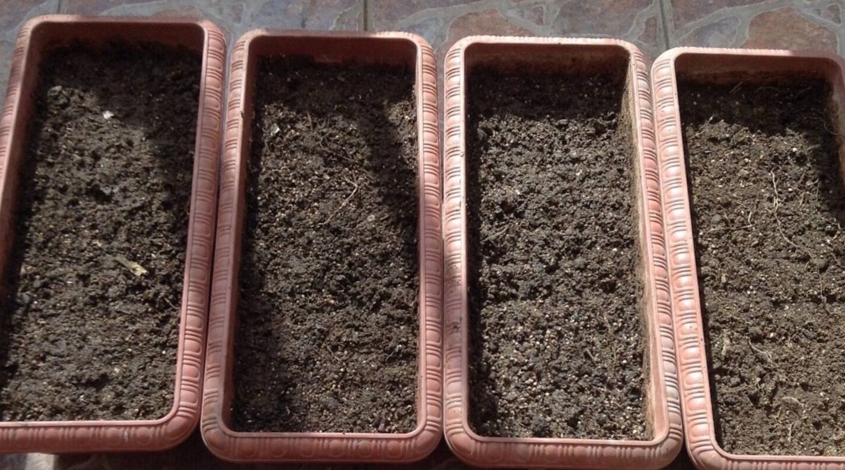 花盆里放一个小玩意,盆土常年透气不板结,盆栽长得壮开花多