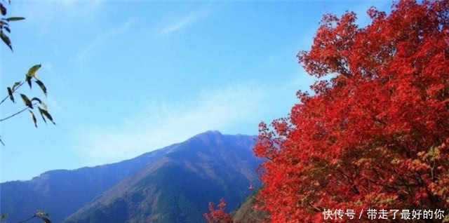 秋日读诗：繁霜尽是心头血，洒向千峰秋叶丹