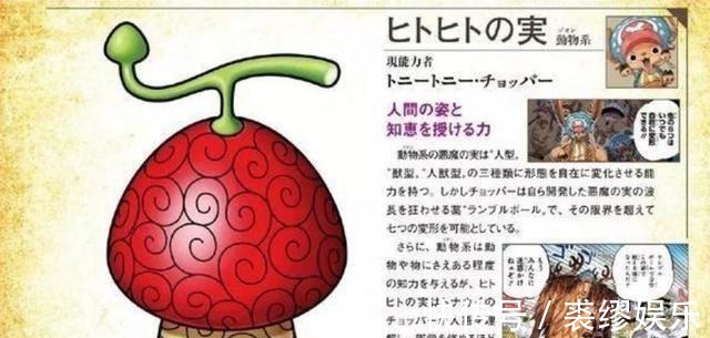 人人果实|海贼王草帽团恶魔果实图鉴公布,4人全把果实能力发挥到了极致