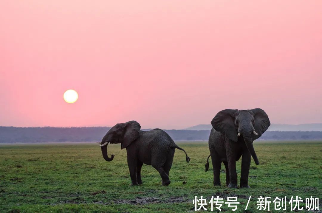 姻缘|2022年初，相思入骨，姻缘依旧，前任回归，有望旧情复燃的星座