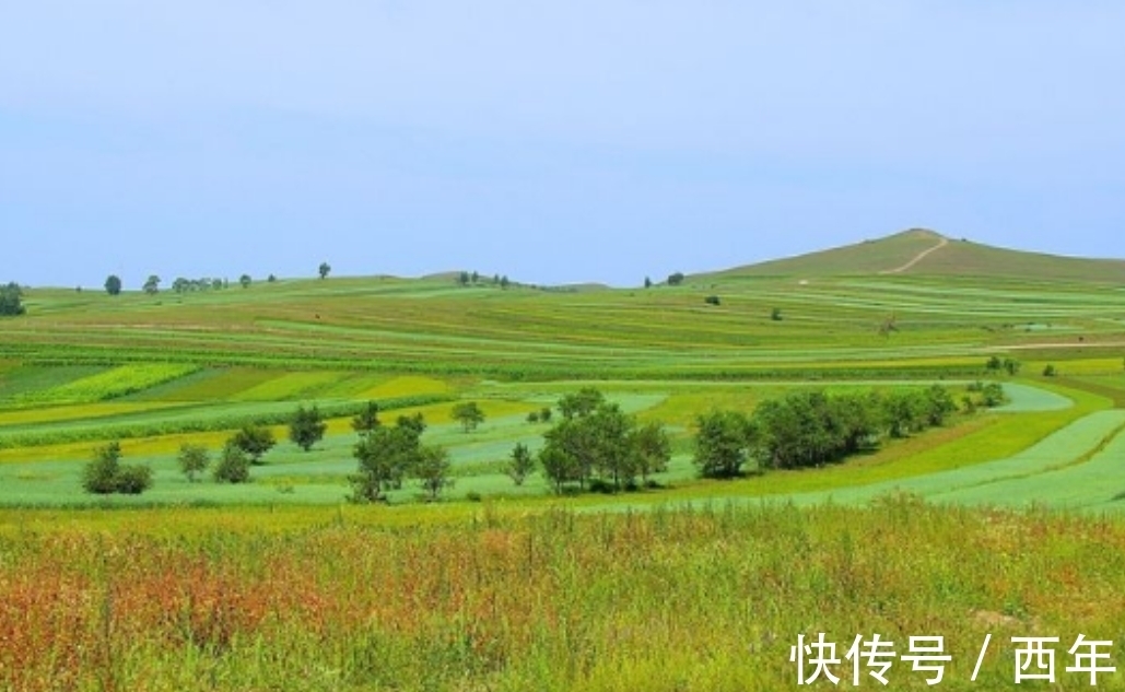 白居易|“离离原上草”读了许多年,“离离”究竟是何意思?多数人不知