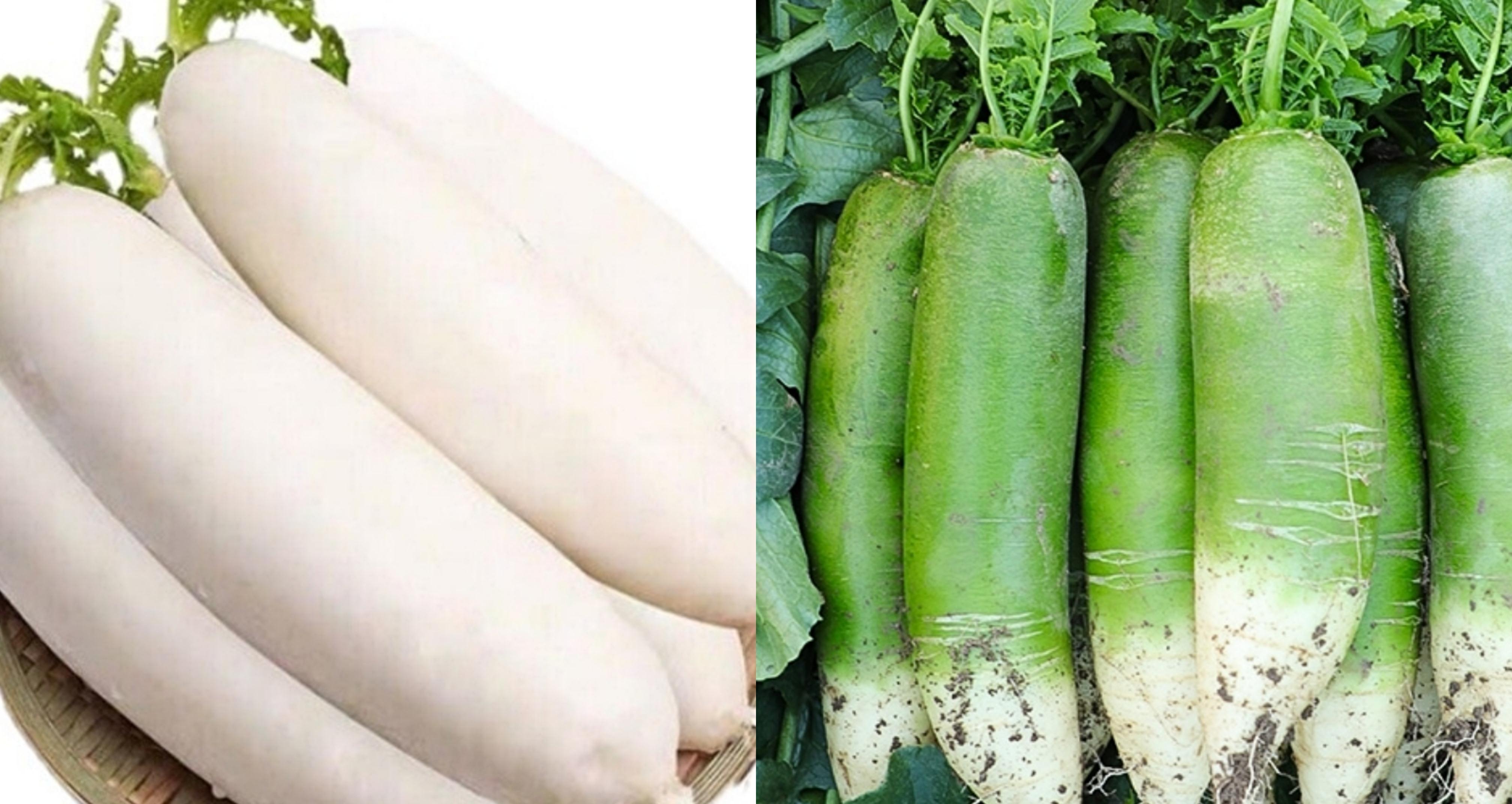 同样是萝卜,白萝卜和青萝卜区别这么大,学会了再买不吃亏