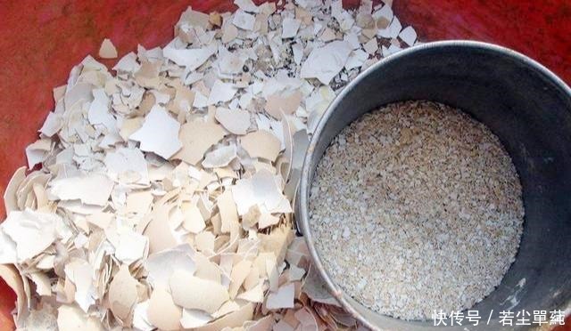 养花不开花用点“它”,催花好“助手”,喷一点点,花量翻倍!