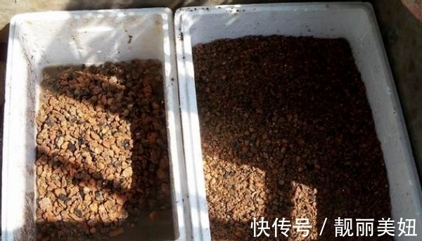 盆栽多肉不想土结块就用这“渣”作弊,方便储存空气、排泄积水