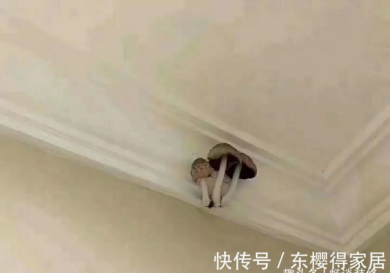 水电路|装修不要做“马后炮”,要做最接地气的决定,现在住着很幸福