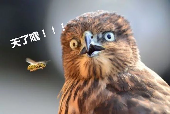 固态硬盘一年写入量