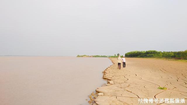 黄辣丁|黄河水位大降，钓鱼人探钓黄河滩，“野货”真不少