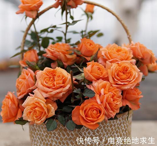 阳台系列之恩雅