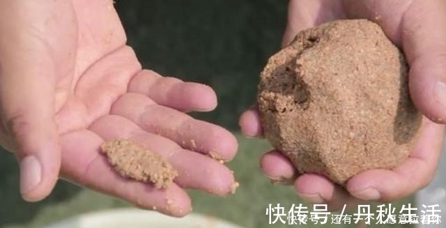 钓饵|二十年老钓手再次提醒,到了秋天,唯独这样一套用饵方式才最关键