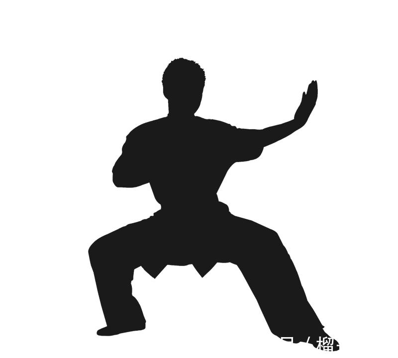 三角步|我练的是什么八卦掌