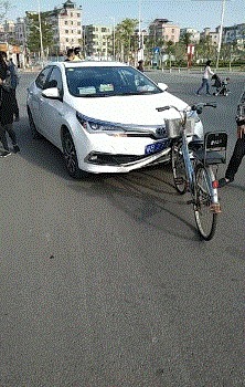 |搞笑GIF段子:丰田车真的好,宁愿自己受伤也不去伤害别人