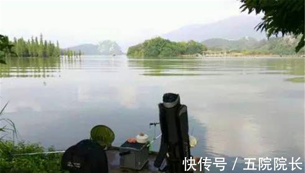 钓位选择的五大技巧,什么位置有鱼群,是可以“看”出来的!