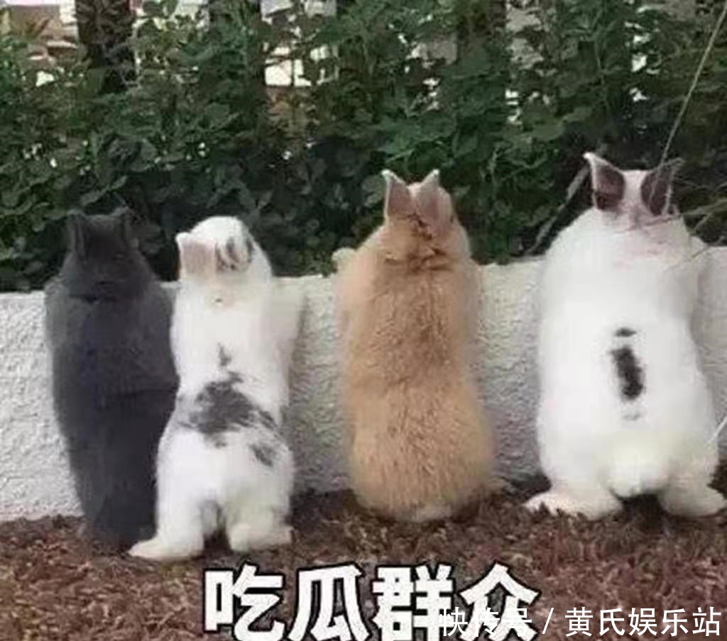 不带套子让他c了整天免费观察，日本wwx-日本wwx下载手机版V（已满18点从此投入正在线游戏V）