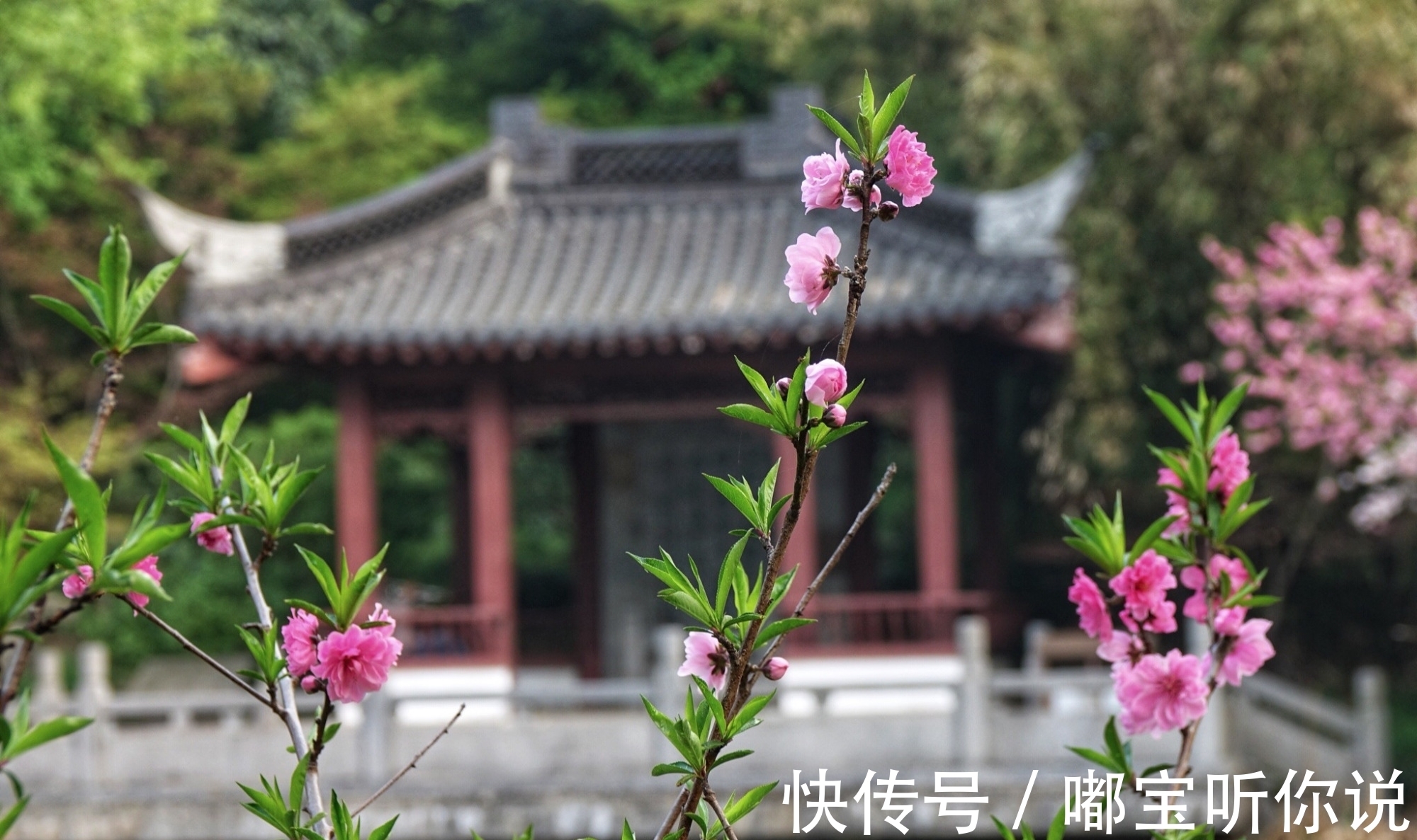 李杜!怎样才能写出好诗?读懂这一句诗,答案自然水落石出